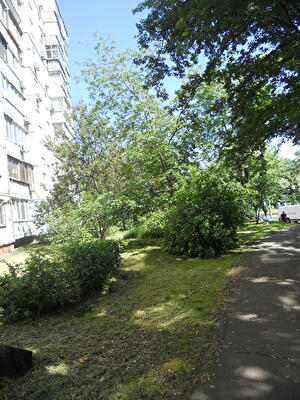 Київ, Здам 2 кім квартиру, проспект Європейського Союзу,8