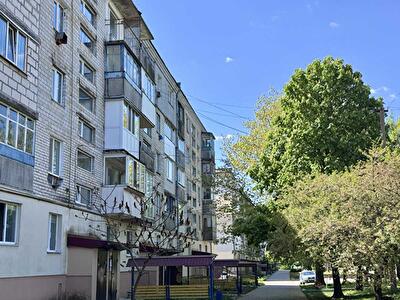 Бородянский район, пгт Песковка, заводська, 92а