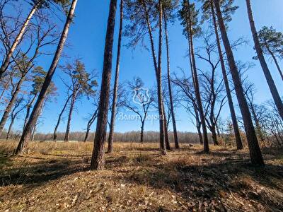 Київська обл., Миронівський район, с. Козин, Соловьяненко Анатолия
