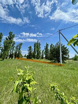 Вышгородский район, с. Лебедевка, прибережна