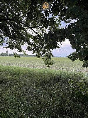 Київська обл., Бориспільський район, с. Гора, Центральна вул.