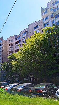 Автозаводская ул., 5
