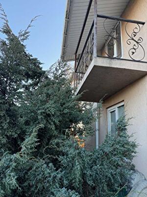 Киевская обл., Броварской район, с. Рожевка, Піщана