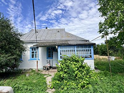 Киевская обл., Ставищенский район, с. Ивановка