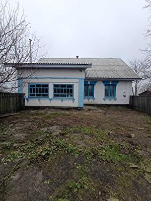 Киевская обл., Белоцерковский район, с. Пилипча, Лісова
