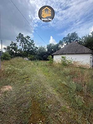 с. Старое, Лісова