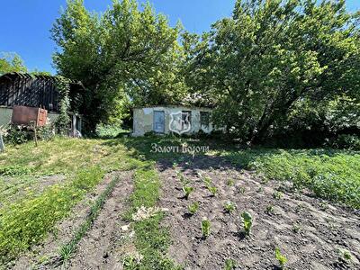 Київська обл., Васильківський район, с. Барахти, Підгірна