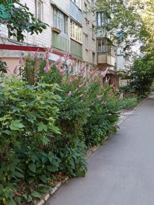 Бучанский район, г. Буча, Немішаєве, Івана Франка вул., 1