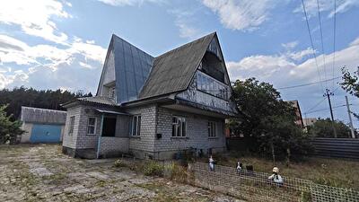 Киевская обл., Вышгородский район, с. Лютеж, Цвілія