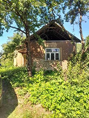 Закарпатська обл., Мукачівський район, с. Обава, Окружна 2
