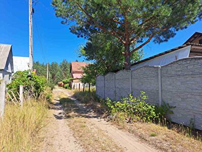 Вышгородский район, с. Высшая Дубечня, Приозерна, 143