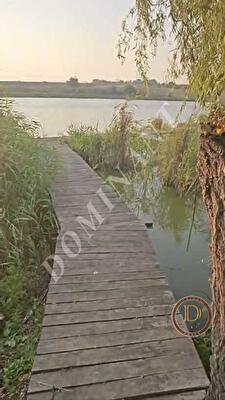 Вольнянский район, с. Гнаровское, Школьная