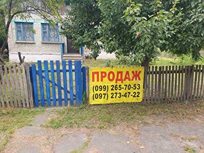 Житомирська обл., Попільнянський район, с. Лисівка, Лисовка, улица Житомирська, 23