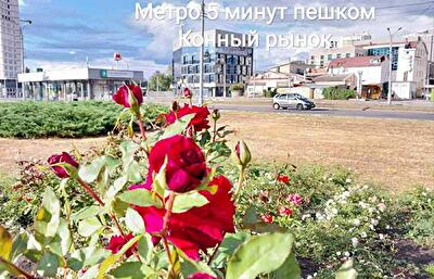 Искринский пер., 19