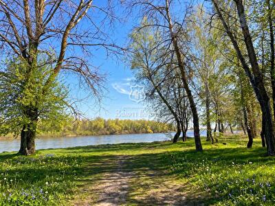 Киевская обл., Вышгородский район, с. Жукин