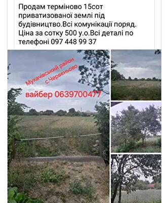 Закарпатская обл., Мукачевский район, с. Червенево, Центральна