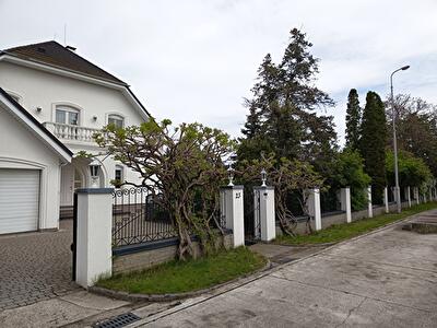 Обуховский район, пгт Козин