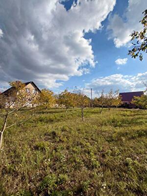 Луцкий район, с. Боголюбы, Польова