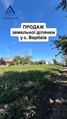 Луцкий район, с. Боратин, Вербаїв Дружби, 38