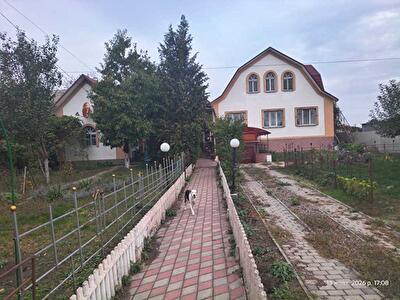 м. Васильків